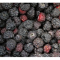 黑树莓（黑水晶）